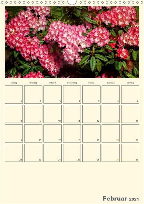 rhododendren parklandschaft ammerland planer wandkalender Epub
